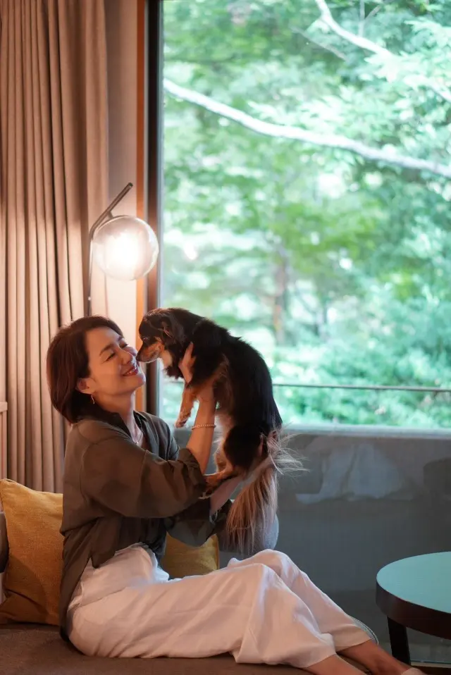 UNIQLOシアーシャツで過ごす癒しの箱の画像_9