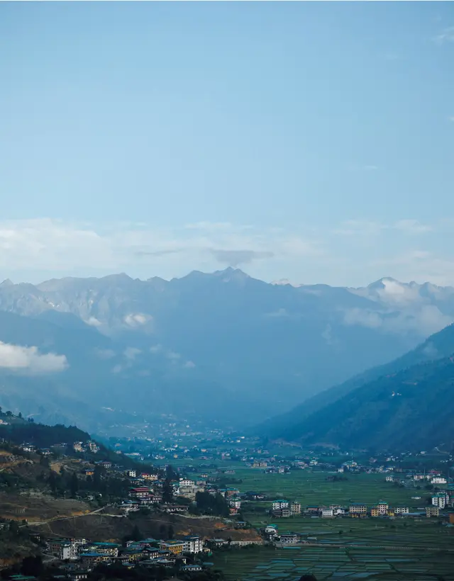 水田が広がるパロの町。道端には牛がのんびりと草を食んでいて、なんとものどかな雰囲気。 世界でも特に離発着がむずかしいとされるパロ国際空港は、町の中心部にある。彼方に連なるのは、標高約5500m級のヒマラヤの山々