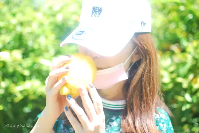 【さかぽんの冒険】海からの風香るレモン狩の画像_18