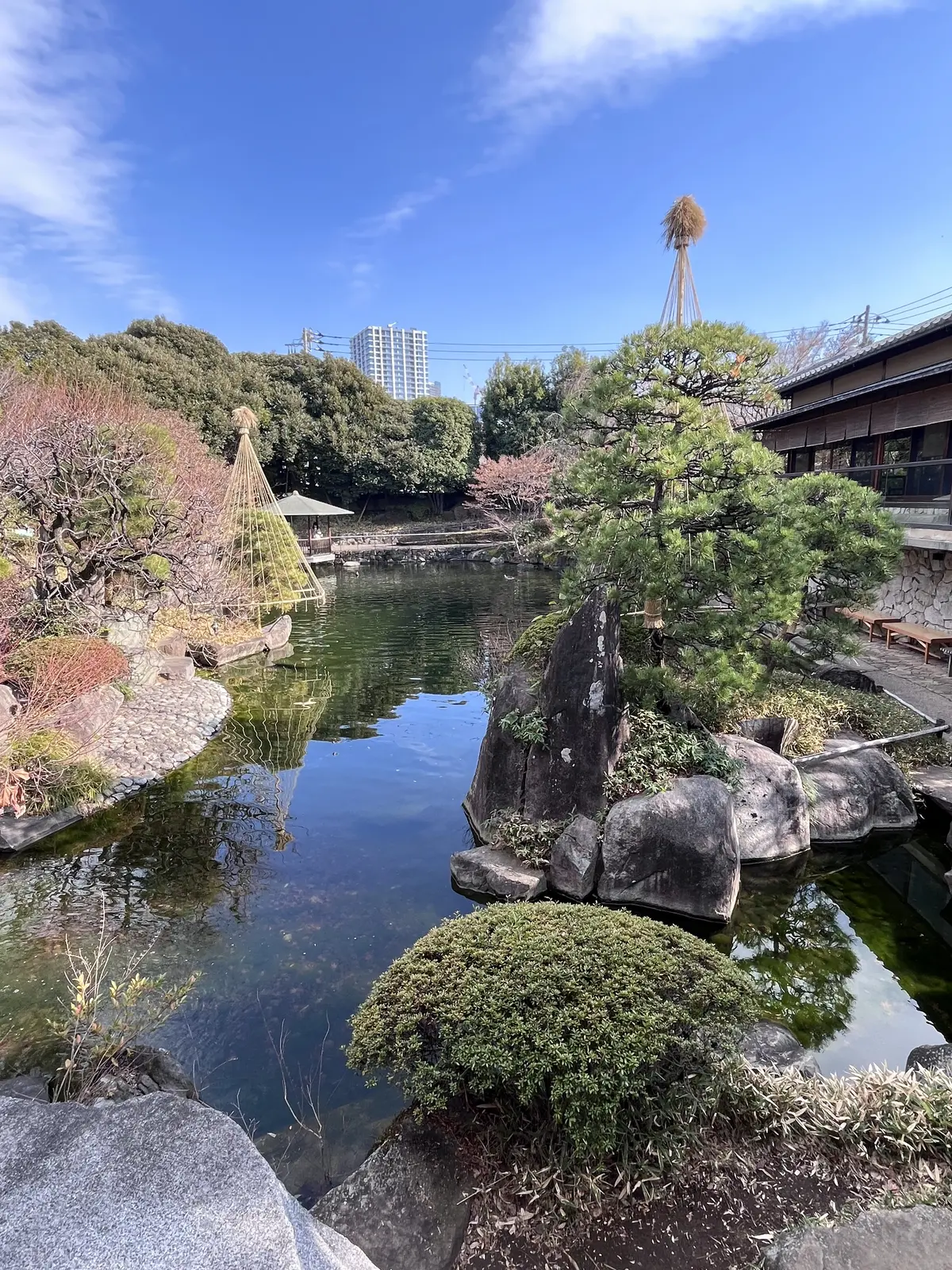 らくらくスニーカーで目白界隈1人散歩の画像_7