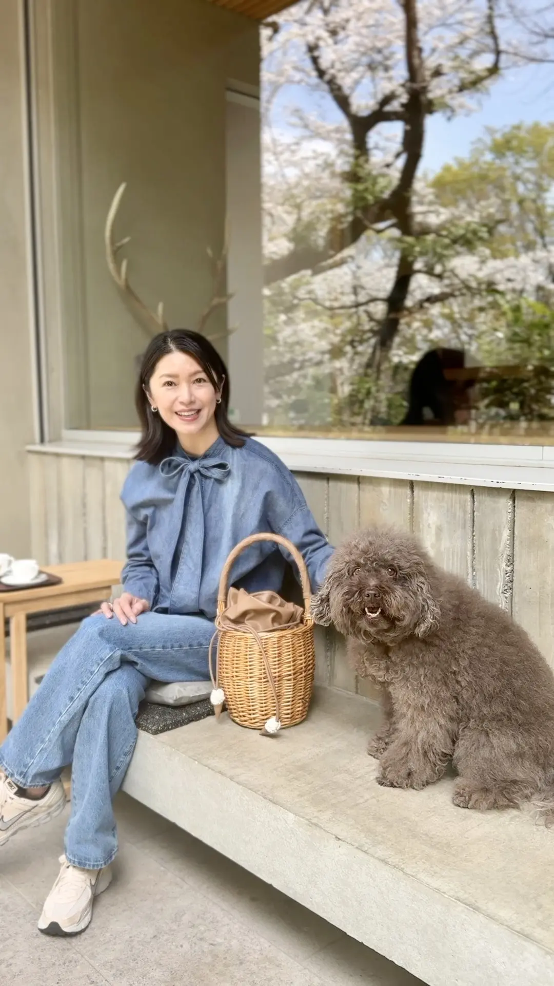 UNIQLOデニムで桜散歩🌸の画像_5