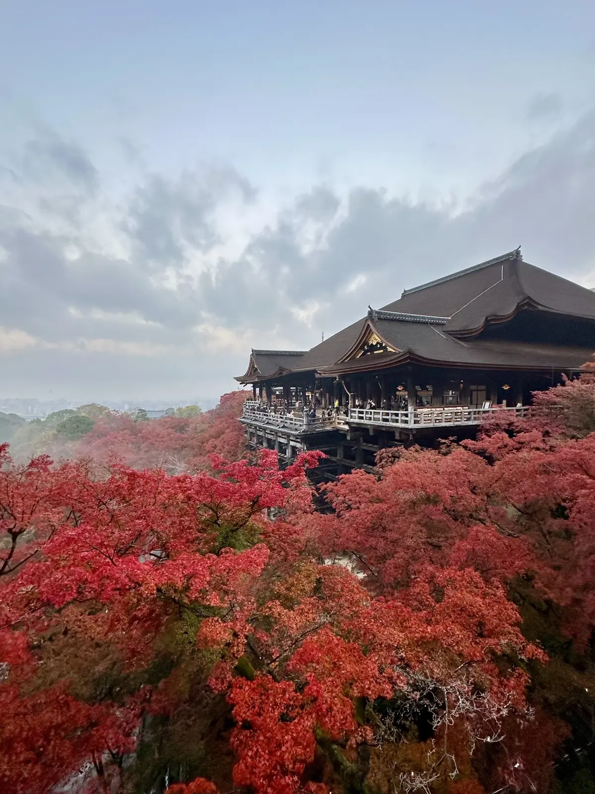 ずっと眺めていたくなる♡美しい京都紅葉2の画像_2