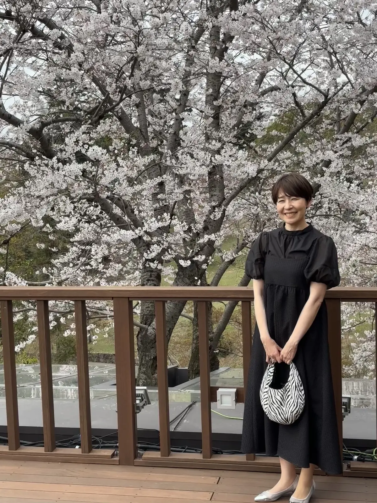 千年の森の桜の木の下で極上の仏蘭西料理にの画像_10