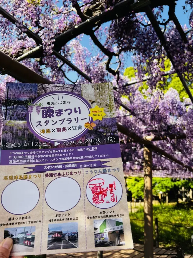 花言葉「あなたを歓迎します」の画像_6