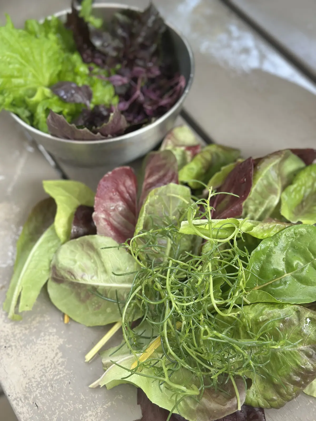 我が家のルーツポーチガーデンの画像_7