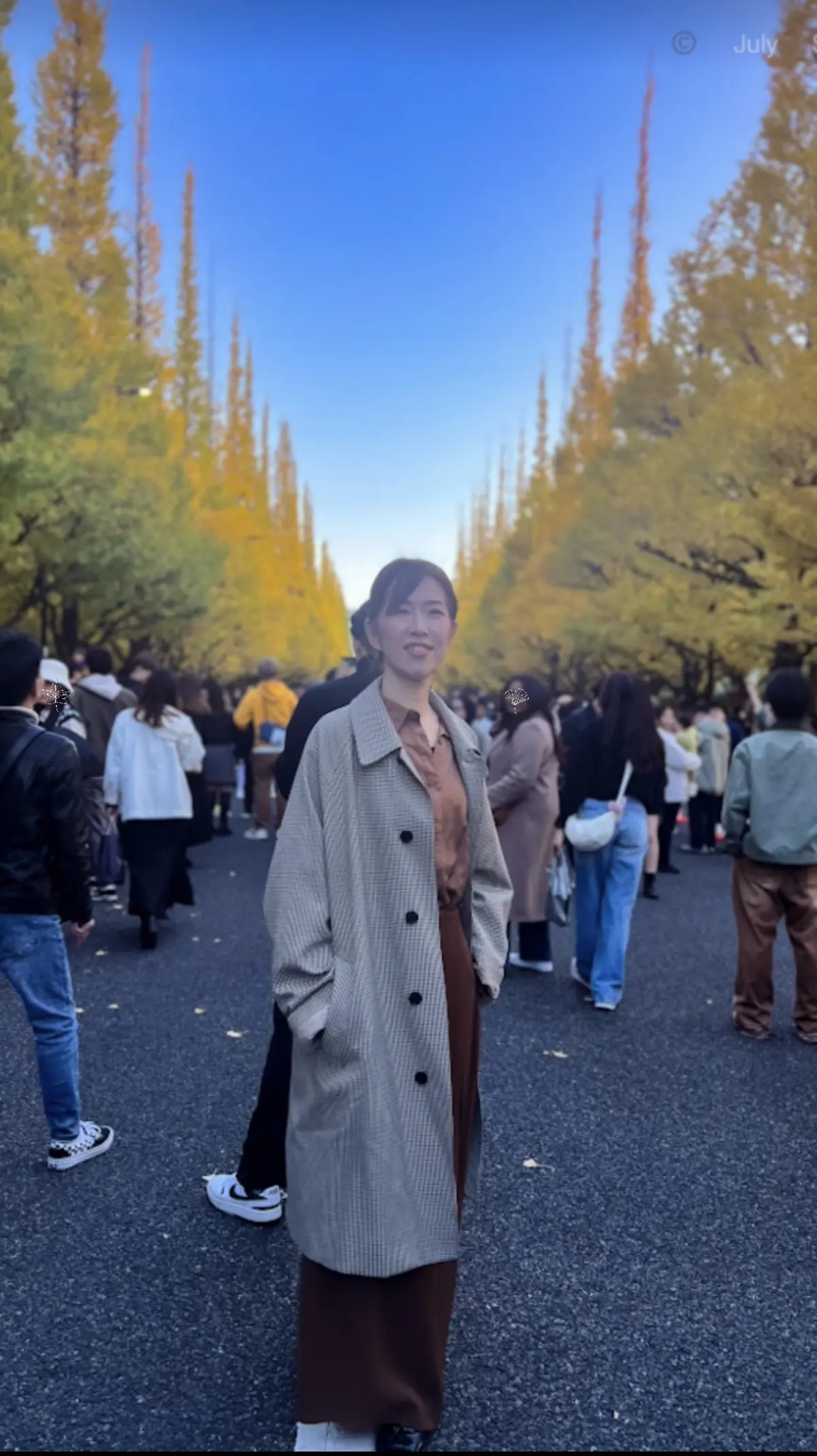 【東京紅葉情報】神宮外苑の銀杏並木11.の画像_5