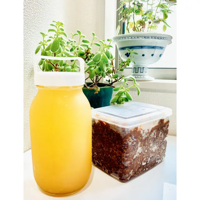 酵素ジュースやお味噌など自家製発酵食品が大活躍