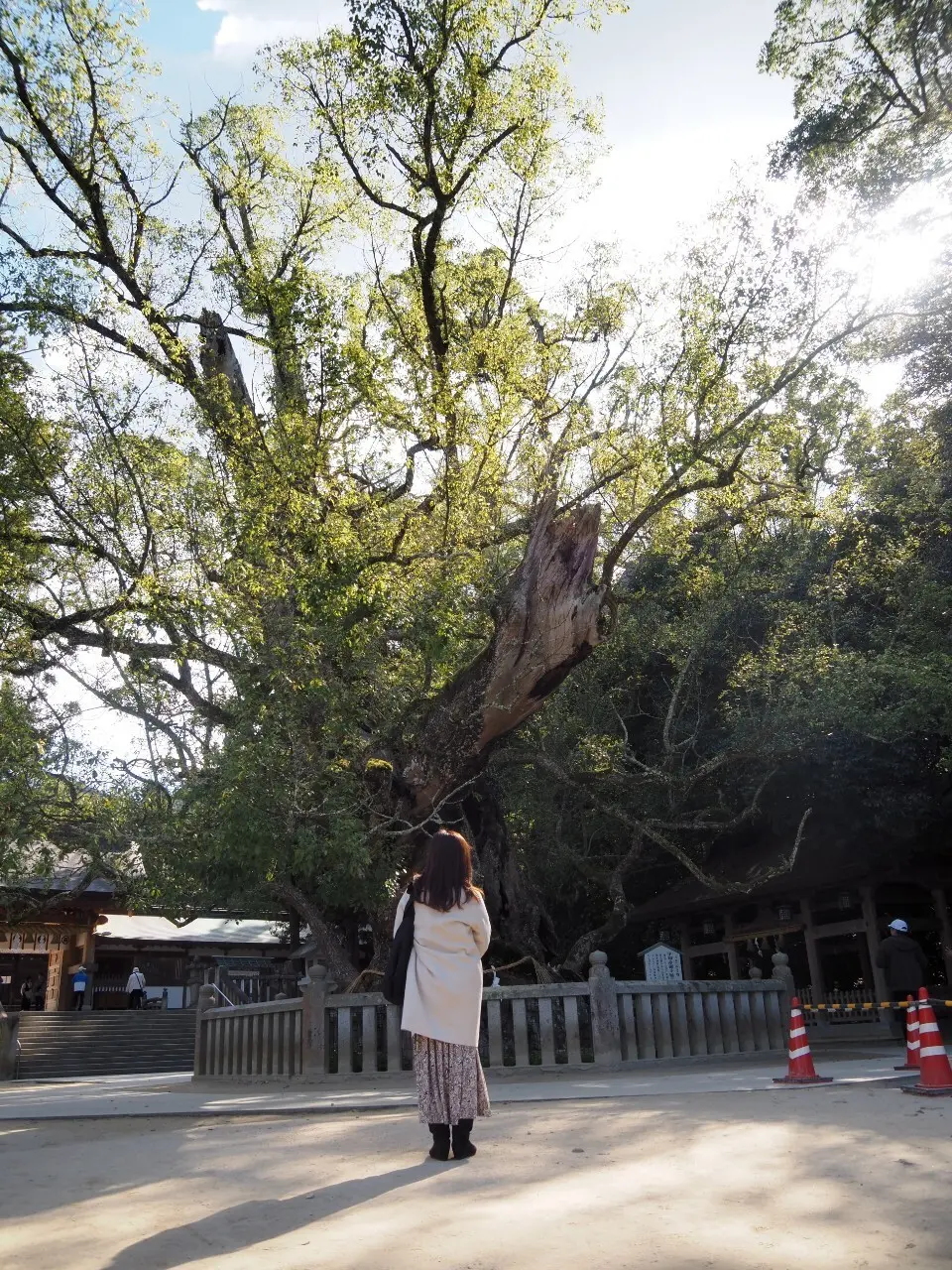 気分上々☆日本一贅沢な卵かけご飯と、しまの画像_3