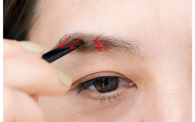 毛の流れに沿って地肌までパウダーをオン