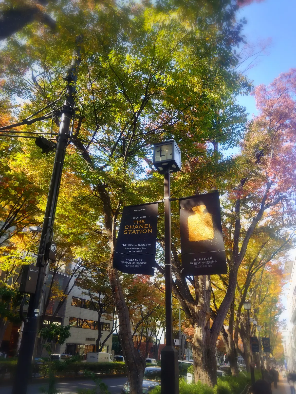 表参道、シャネルのイベント、秋