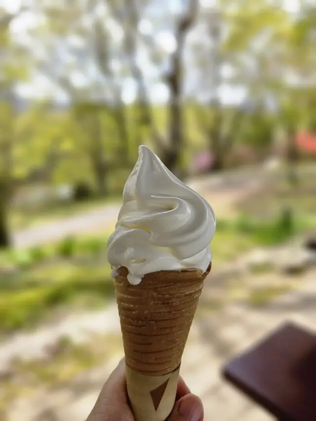 海外のような景色広がる公園の画像_5