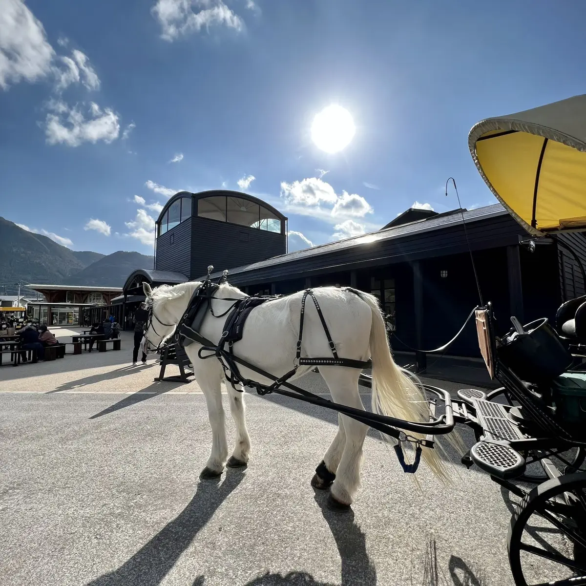 由布院「観光辻馬車」、由布院駅、白馬