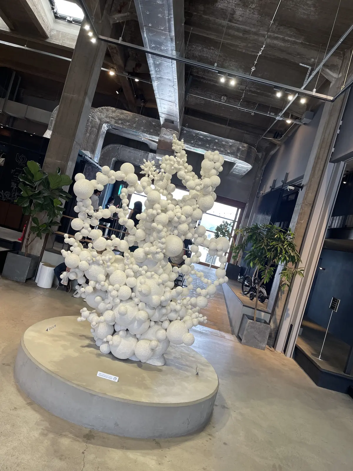 広島県尾道市　食べる、遊ぶ、一日大満喫コの画像_6