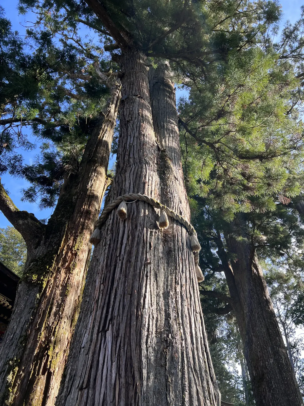 大人の遠足「三峰神社」お朔日参りへの画像_6
