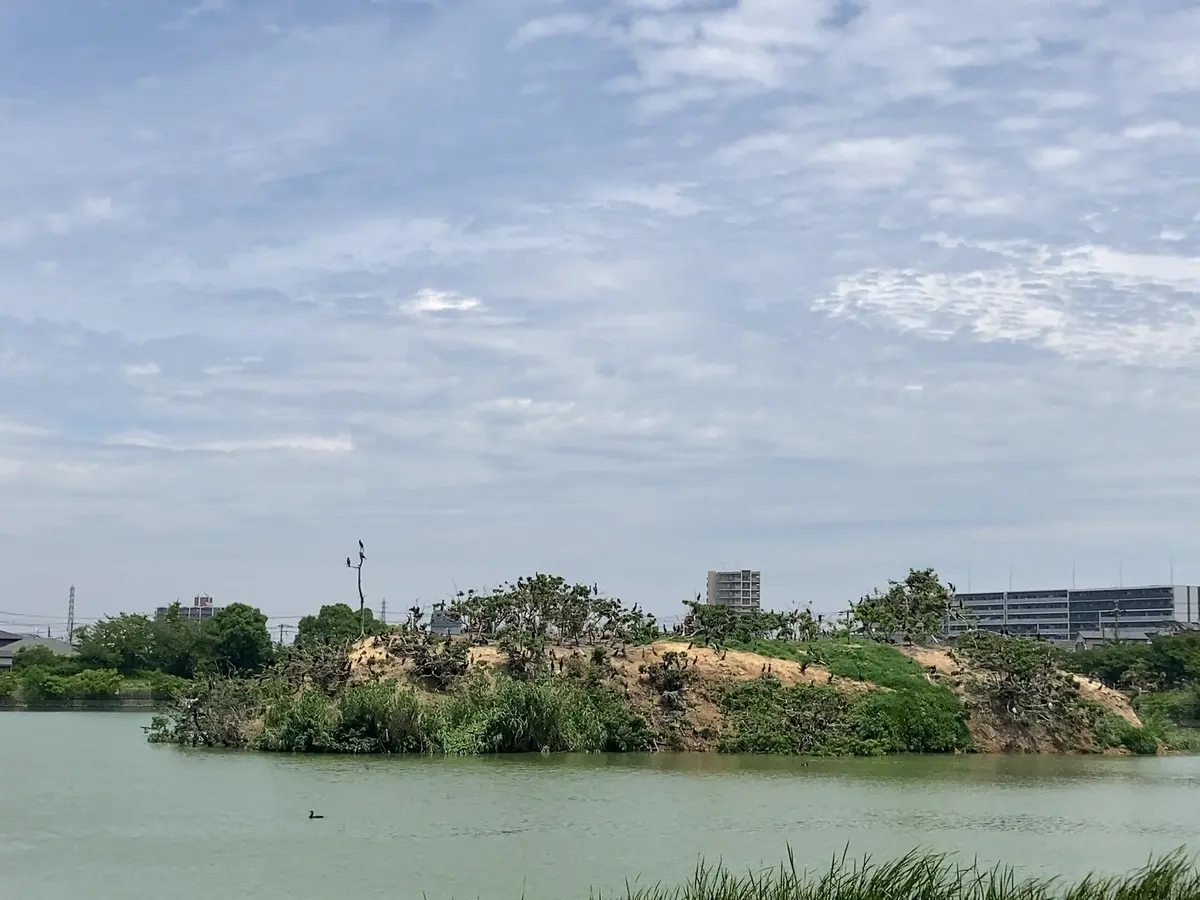 サプライズ大成功！の画像_2