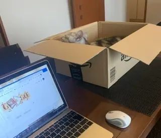 「在宅ワークの邪魔をする猫」対策は成功しの画像_2