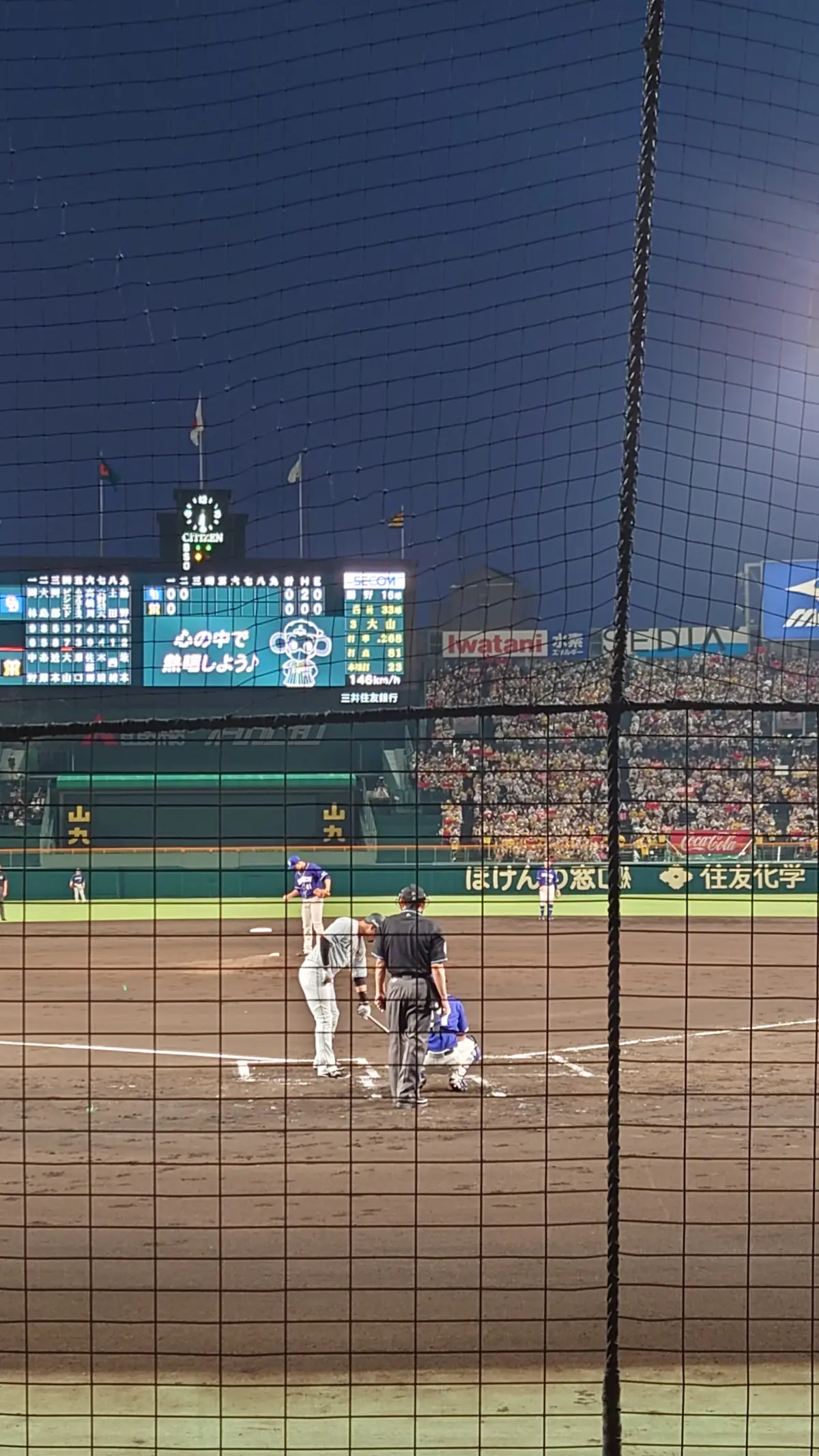 バックネット裏