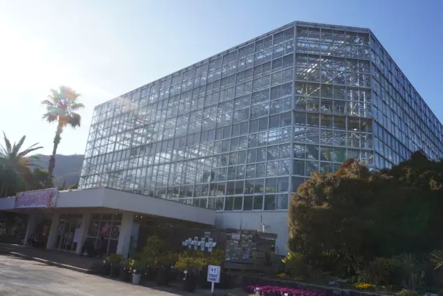 梅も桜も胡蝶蘭まで…花々に囲まれ春の訪れの画像_1