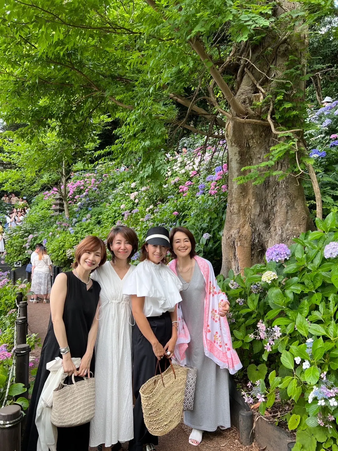 紫陽花が見頃💜大人の鎌倉遠足🎵の画像_4