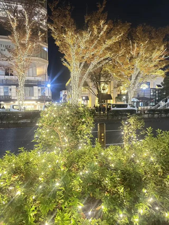 原宿クリスマスランチをブラウン×ホワイトの画像_6