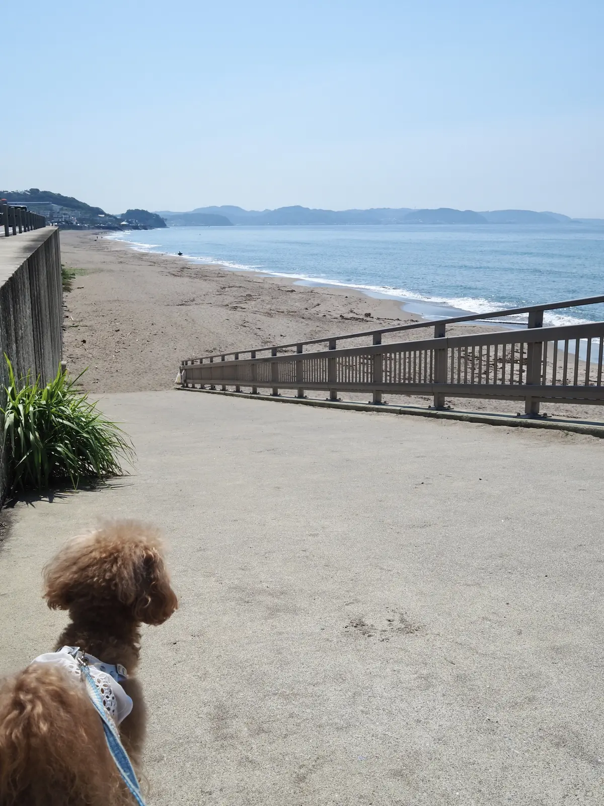 海まで30歩！の小さな幸せ♪（お店紹介）の画像_2