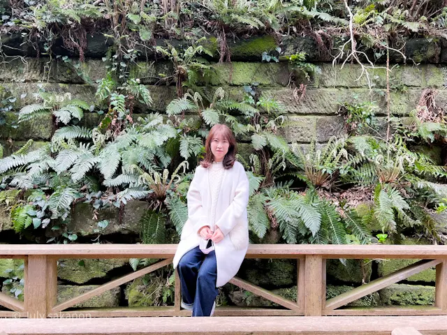 【さかぽんの冒険】前編☆無人島で奇跡のラの画像_16