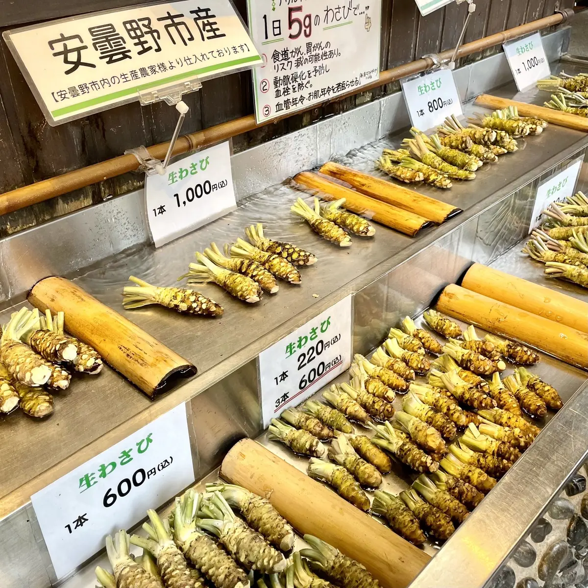 長野県の安曇野にある「大王わさび農場」、生わさび