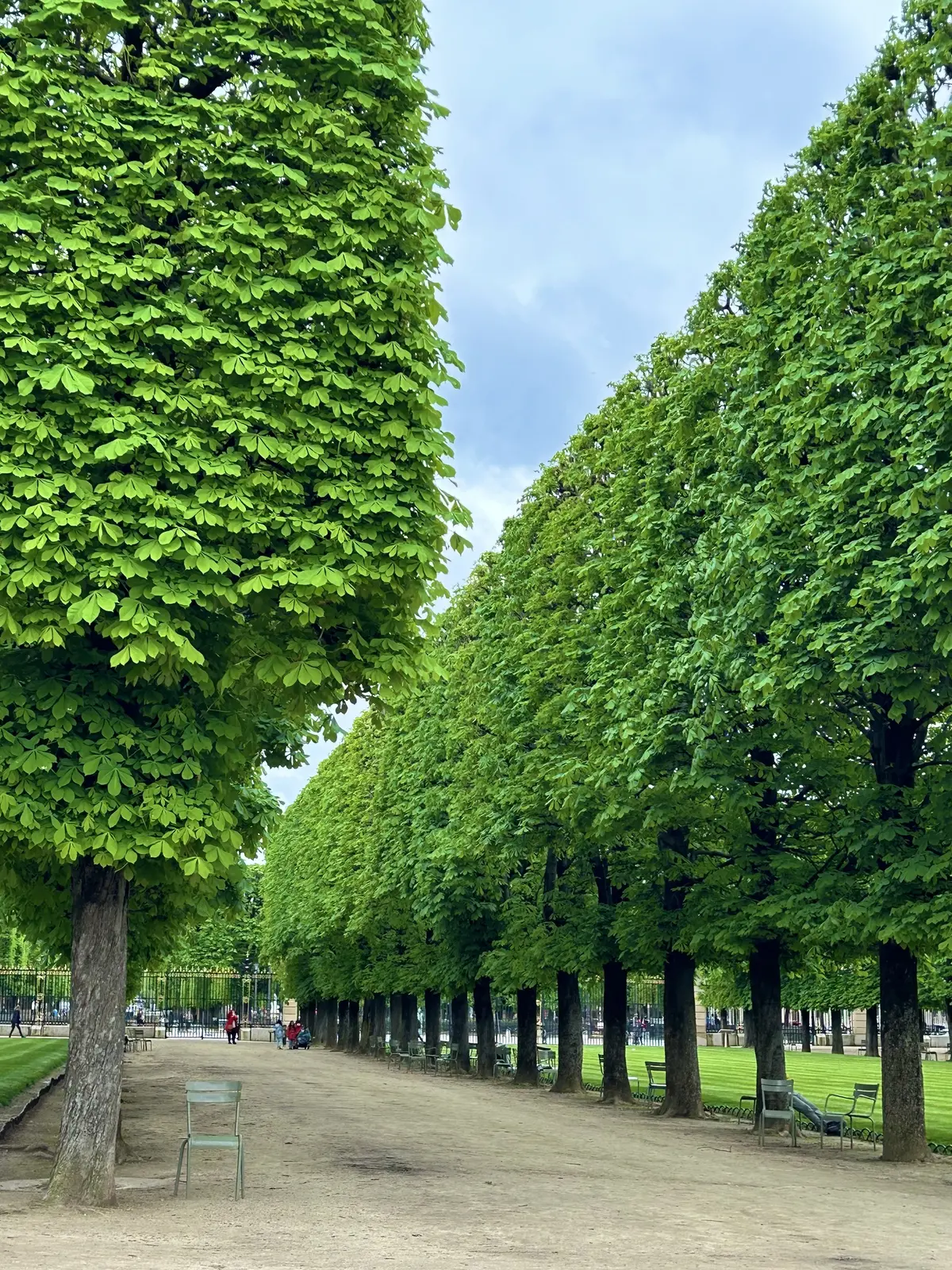    Netflix「Emily in Paris（エミリーパリへ行く）」　ロケ地巡り