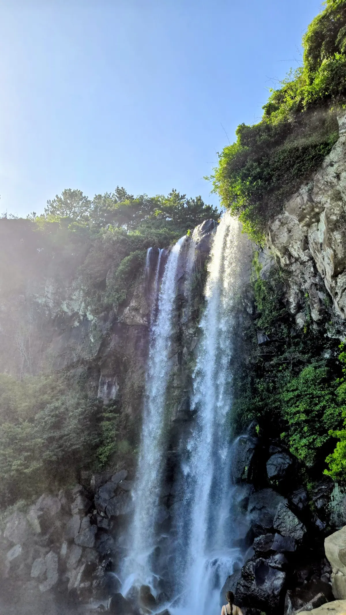 家族で楽しむクルーズ旅行！　MSCベリッの画像_2