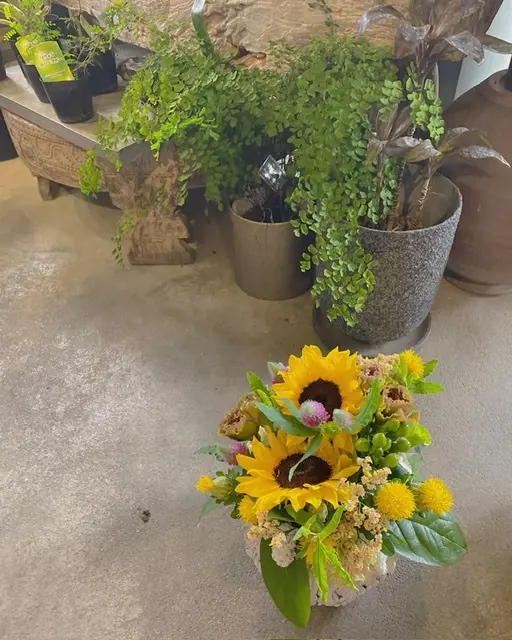 琵琶湖にあるパワースポット『竹生島へ』の画像_2