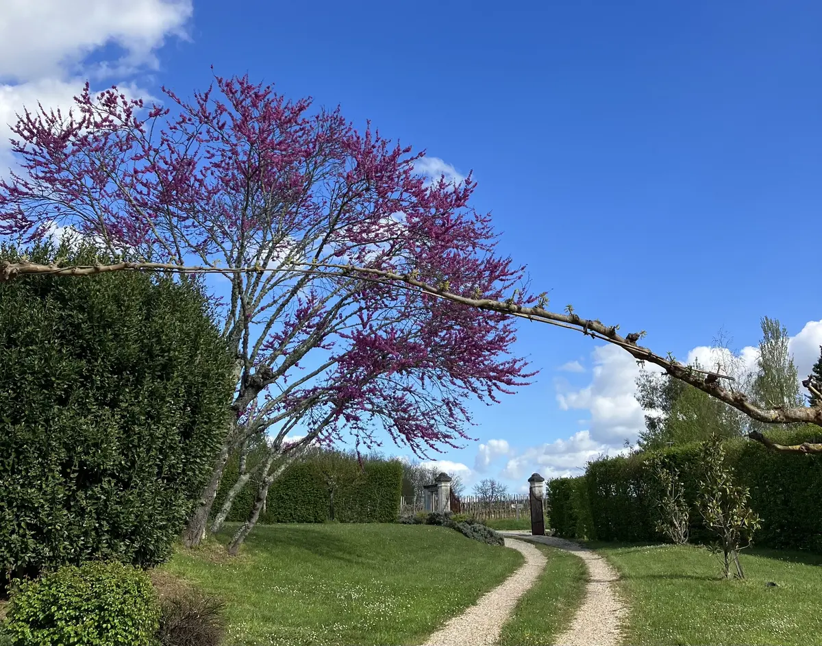 フランス旅行　ボルドー編