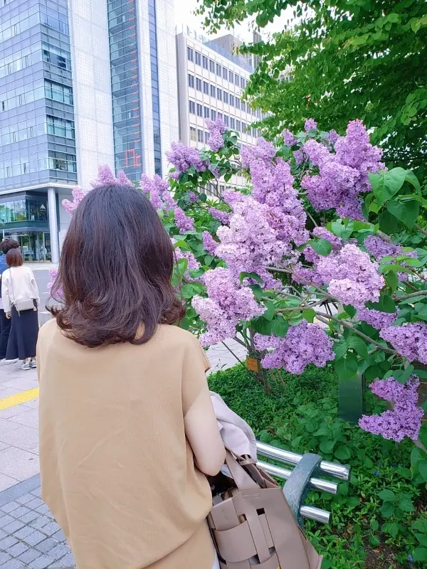 北海道へ夫婦二人でグルメ旅　【札幌編】の画像_5