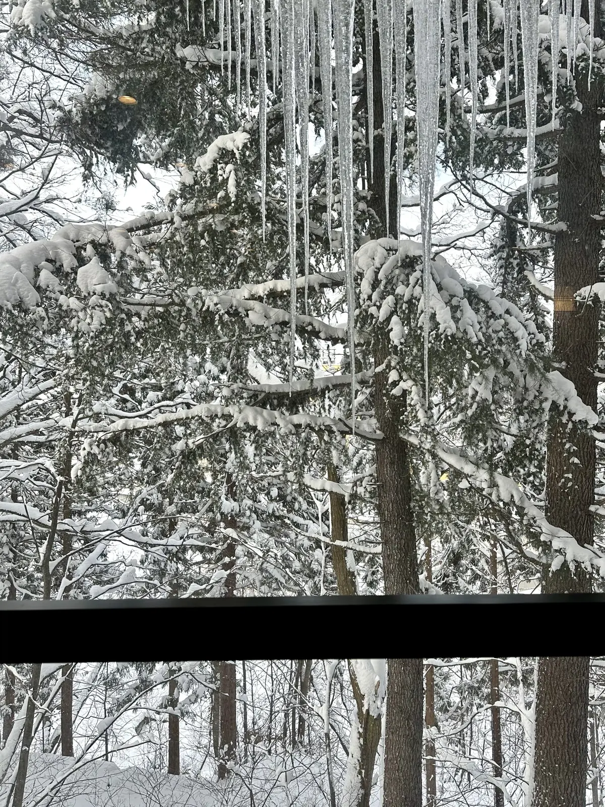 樹氷と美肌の湯を楽しむ♡山形県蔵王への旅の画像_49