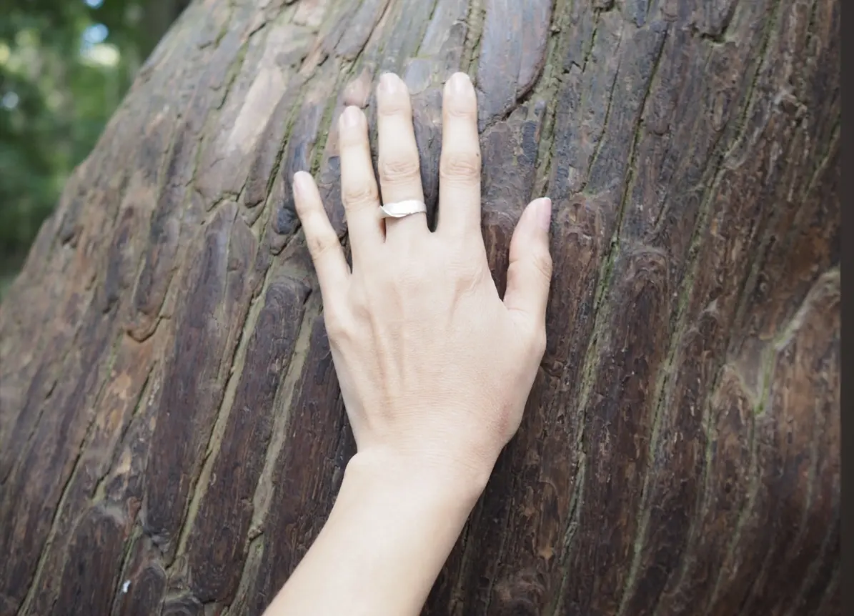 三重県のおしゃれスポットVISON（ヴィの画像_2