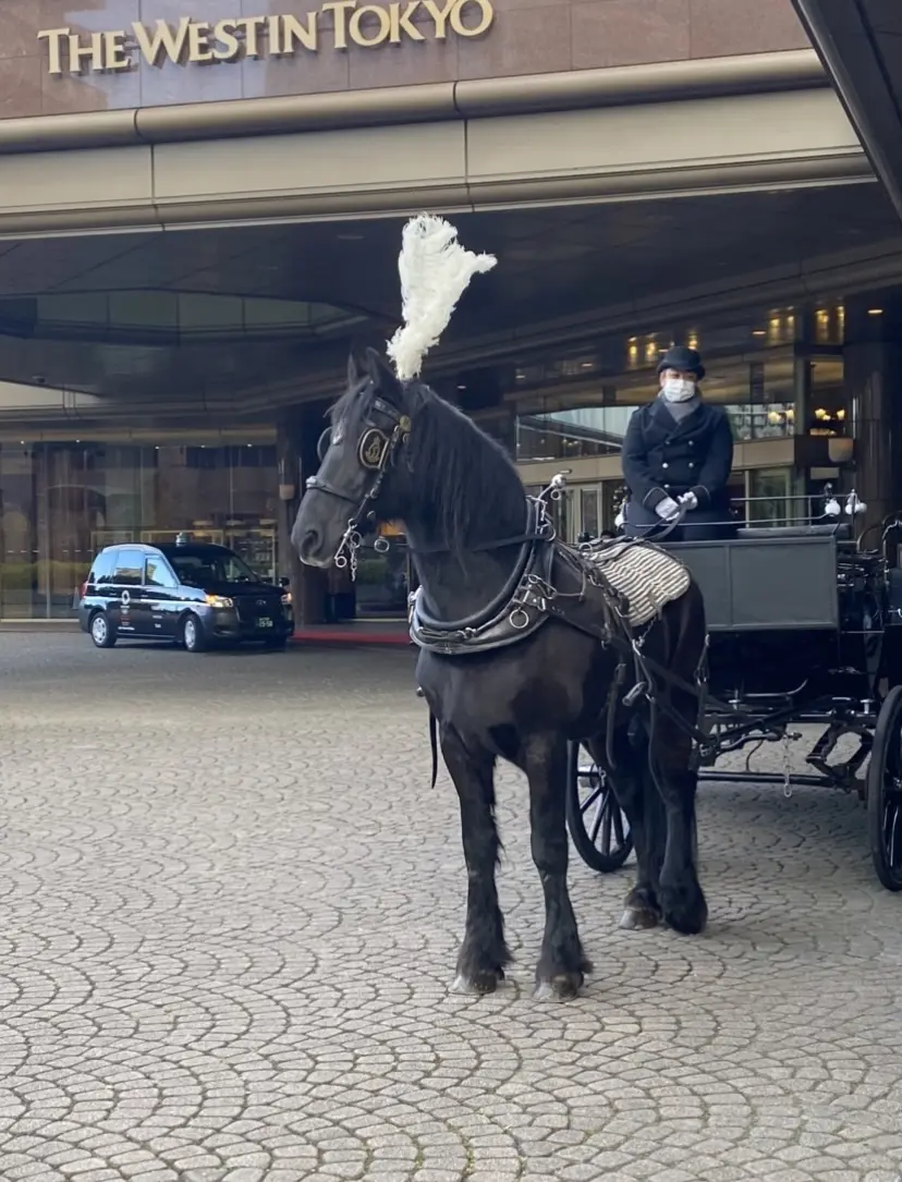 光がある、明日がある✨　バカラの光り輝くの画像_2