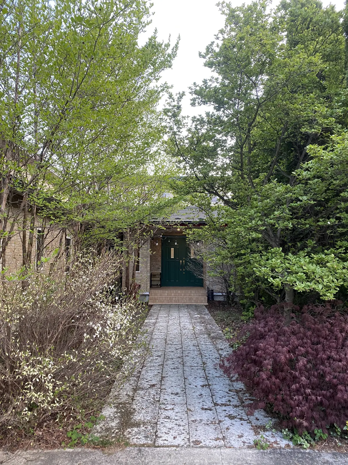 ペンションオリーブ