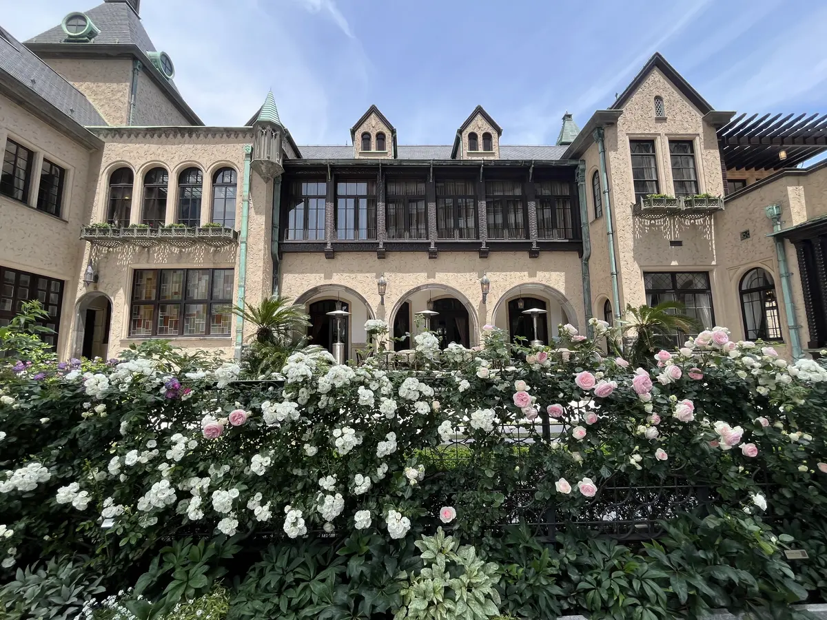 最近の〝花活〟の画像_13