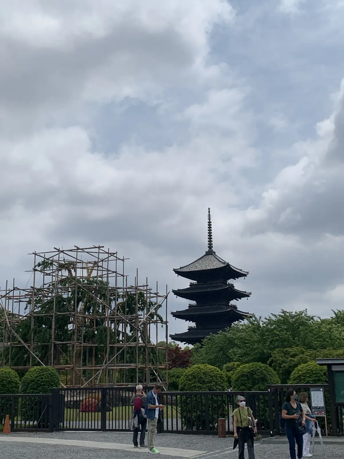 桜の季節には桜と五重塔が楽しめる