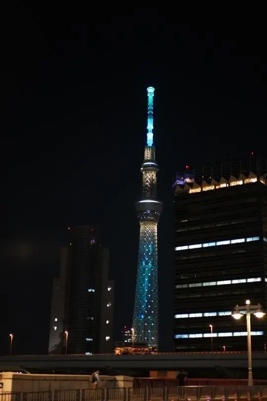 夜の浅草の画像_3