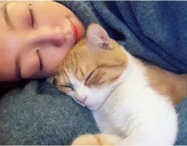 目が見えないごろりんのためにインテリアには緩衝材を巻いて猫ファーストの工夫も。一緒にベランダで日なたぼっこするのも至福の時