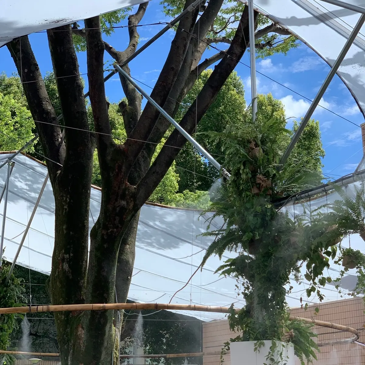 グリーンエネルギー