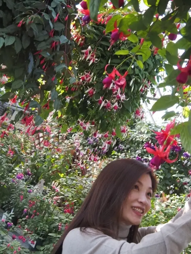 梅も桜も胡蝶蘭まで…花々に囲まれ春の訪れの画像_15