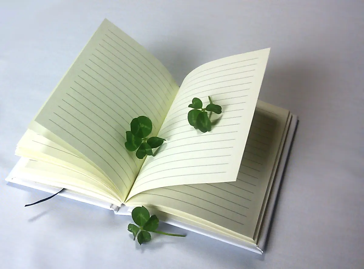 50代女性のホンネ：断捨離して、よかったの画像_3