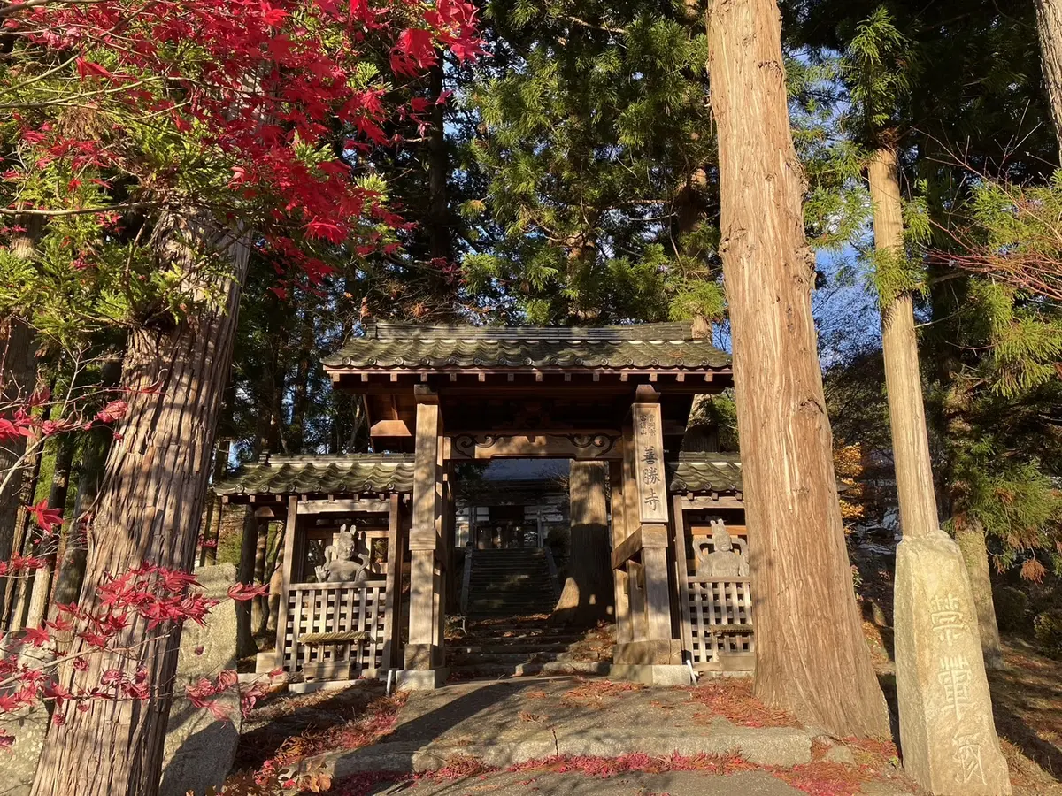 母の待つ里　ロケ地　善勝寺
