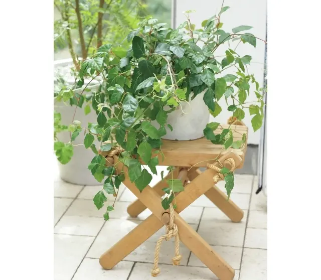 鉢を置くときは高低差をつけて