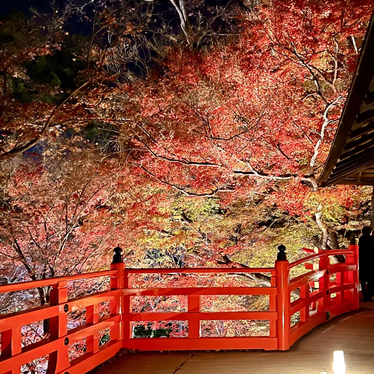 北野天満宮「もみじ苑」