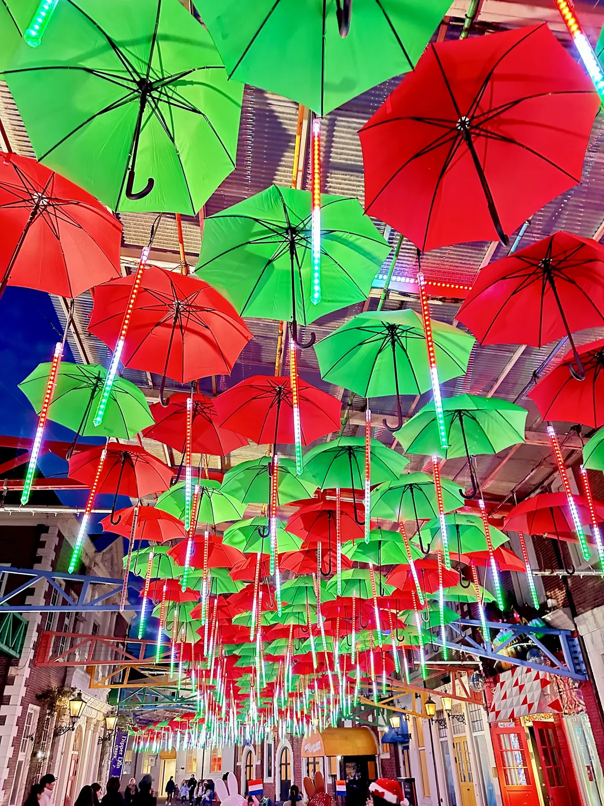 【後編】ハウステンボスのクリスマス  〜の画像_5