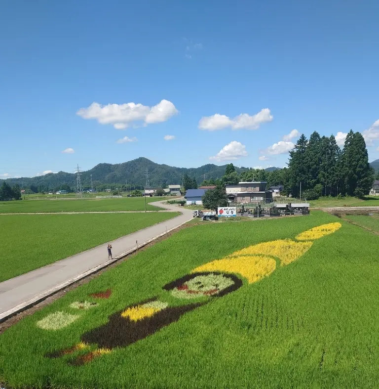 田んぼアート「スマイル」大きく撮ったもの