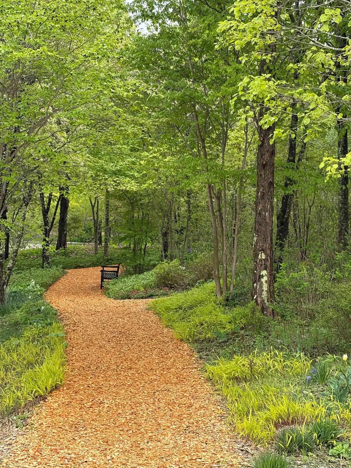 敷き詰められたウッドチップ。すべて自然に帰るものが使われているようです。