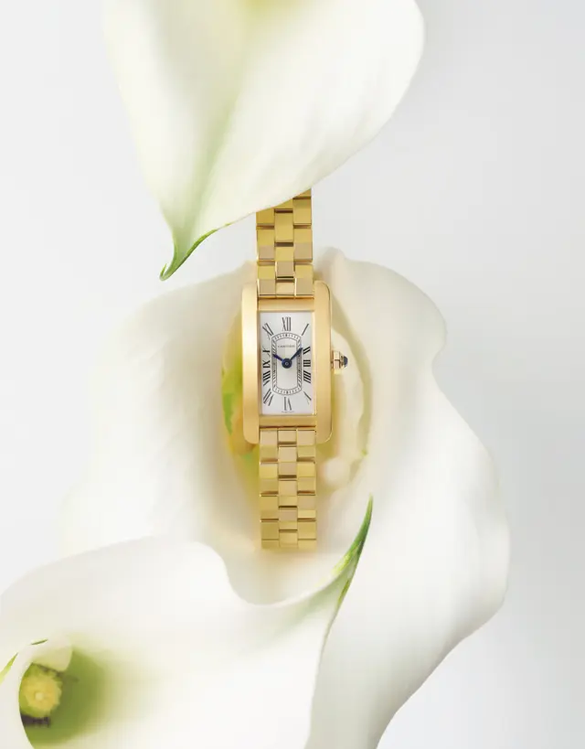 端正な直線と魅惑的な曲線の融合から生まれたモデルは、時を超えてしなやかに腕に添う